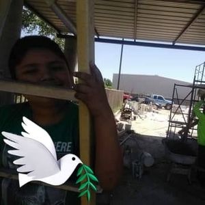 Meet your Posher, Lucille